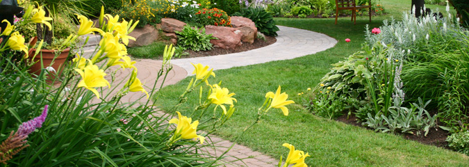 Garden planting