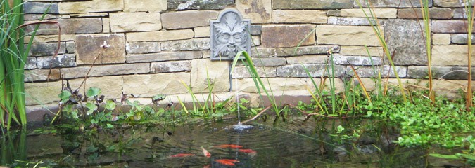 Pond design